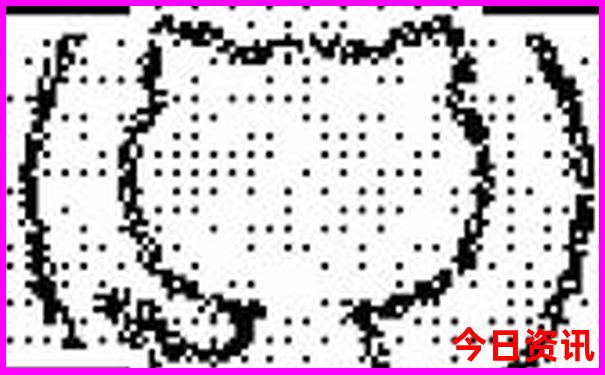 武汉暑假带孩子去哪玩